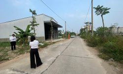 Bán 2 ô đất liền nhau tại khu đấu giá Tân Ngọc, Bá Hiến, Bình Xuyên, Vĩnh Phúc