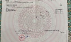 Bán đất phân lô khu Đông Hưng, Vĩnh Yên, Vĩnh Phúc. DT 80m2 hướng Tây Bắc.