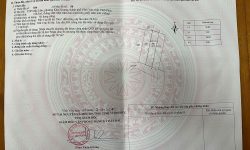 Bán đất Mậu Lâm, Khai Quang, Vĩnh Yên, Vĩnh Phúc. Giá chỉ 2,2 tỷ Hướng Tây Nam