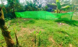 Bán đất tại Kim Long, Tam Dương, Vĩnh Phúc. Diện tích 322m2 giá chỉ 4 triệu/m2