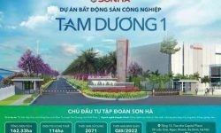 Bất động sản khu Công nghiệp Tam Dương  – Sở hữu nhanh 1 lô đất hơn 1200m