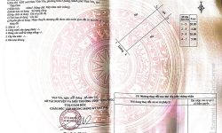 Bán đất băng 2 đường 33m đã có sổ hồng tại Nam Vĩnh Yên, Vĩnh Yên, Vĩnh Phúc