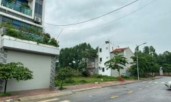 Bán đất dịch vụ Lai Sơn, Đồng Tâm, Vĩnh Yên, Vĩnh Phúc