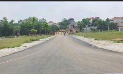 Bán đất khu Sau Núi, Hội Hợp, Vĩnh Yên, diện tích: 98m2, giá 2.4x tỷ