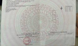Bán đất tại TDP gạch, Tích Sơn, Vĩnh yên.
