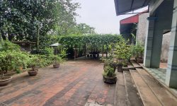 Bán trang trại tại Hồ Sơn, Tam Đảo. DT 5 ha. Giá 4.5 tỷ/ ha