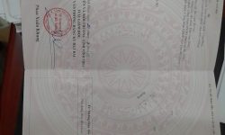 Sẵn 3 lô Thôn Quế, Hướng Đạo, diện tích từ 99.4-104.8m2 giá 7xx tr/lô