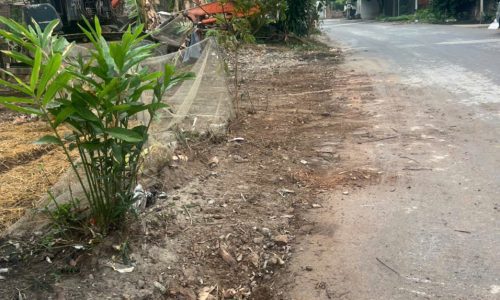 Bán đất mặt đường quốc lộ 2B cũ, Hữu Thủ, Kim Long, Tam Dương, Vĩnh Phúc.