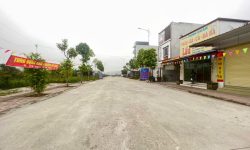 Bán đất đấu giá Lai Sơn , Đồng Tâm , Vĩnh Yên, dt 100m2, giá 2.x tỷ