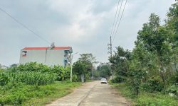 Bán đất phân lô khu may mặc Kim Long, Tam Dương, Vĩnh Phúc Giá siêu tốt