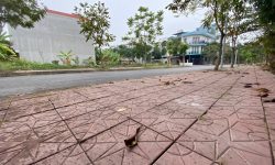 Bán đất Biệt Thự khu B Nam Đầm Vạc, Vĩnh Yên, Vĩnh Phúc
