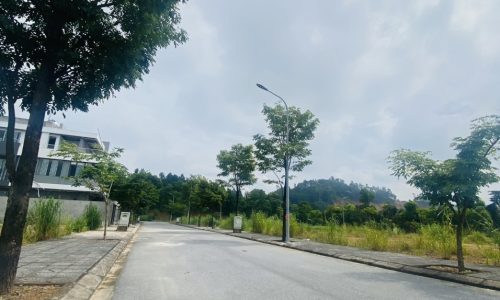 Bán hai ô đất liền nhau tại khu đô thị Park Hill, Thành Công, Định Trung, Vĩnh Yên, Vĩnh Phúc.