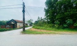 Bán đất mặt đường 24m tại Cầu Bút, Định Trung, Vĩnh Yên, Vĩnh Phúc.