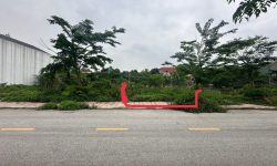Bán đất view cánh đồng dịch vụ Lai Sơn, Đồng Tâm, Vĩnh Yên.