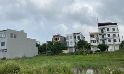 Bán nhanh ô đất tại Đồng Cái Ngang, Hợp Thịnh, Tam Dương, Vĩnh Phúc.