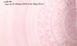 Bán đất phân lô khu X32 Kim Long, Tam Dương, Vĩnh Phúc. Giá chỉ 1.62 tỷ