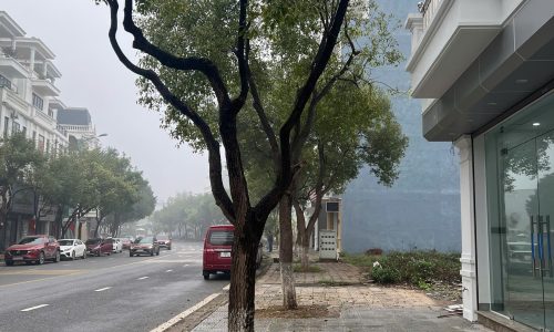 Cho Thuê mặt bằng tầng 1, tầng 2 làm kinh doanh – văn phòng