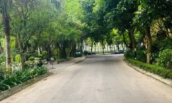 Đất biệt thự, sẵn sổ hồng tại Tích Sơn, Vĩnh Yên, DT 393m2 giá 33tr/m2