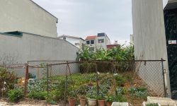 Bán đất mặt đường Lạc Trung, Liên Bảo, Vĩnh Yên, Vĩnh Phúc