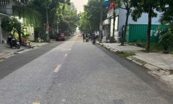 Bán đất cụm kinh tế Đồng Tâm, Đồng Tâm, Vĩnh Yên, Vĩnh Phúc