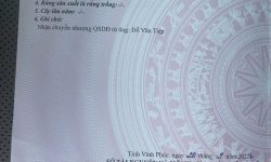 Bán lô đất rộng trục chính đi chợ số 8, Kim Long, Tam Dương, Vĩnh Phúc