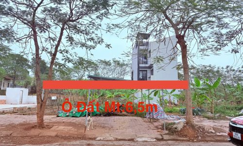 Bán đất khu D Nam Đầm Vạc, Khai Quang, Vĩnh Yên, Vĩnh Phúc