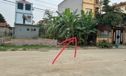 Bán ô đất khu phân lô Giàn Chiếu, Hợp Thịnh, Tam Dương, Vĩnh Phúc
