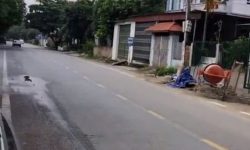 Bán đất mặt đường 302 Nhân Lý, Tam Quan, Tam Đảo, Vĩnh Phúc