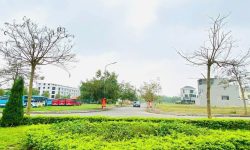 Bán đất tại KĐT Park Hill Thành Công Vĩnh Phúc. DT 150m2 hướng Bắc giá chỉ 24,5 triệu/m2