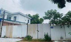 Bán đất thương mại dịch vụ trả thuế 1 lần tại Tích Sơn, Vĩnh Yên, Vĩnh Phúc