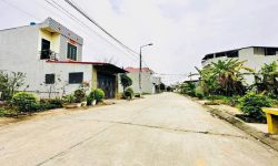 Bán đất phân lô tại Kim Long, Tam Dương, Vĩnh Phúc. diện tích 115m2