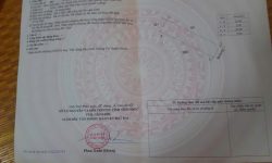 Bán đất tại Thanh Vân, Tam Dương, Vĩnh Phúc. DT 113m2 giá chỉ hơn tỷ