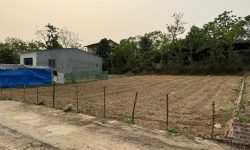 Bán đất tại Cẩm Trạch, Đạo Tú, Tam Dương, Vĩnh Phúc. Giá chỉ hơn 600 triệu