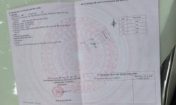 Bán đất phân lô tại Liên Bảo, Vĩnh Yên, Vĩnh Phúc. Hướng Đông Bắc. DT 100m2