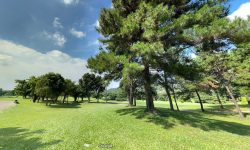 Bán lô đất biệt thự sân Golf Tam Đảo, Vĩnh Phúc