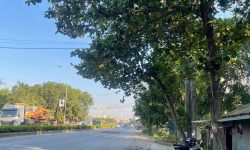 Bán đất TDP Thắng Lợi, Hương Canh, Bình Xuyên, Vĩnh Phúc
