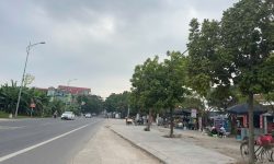 Bán đất mặt QL2C Gò Xoan, Thanh Vân, Tam Dương, Vĩnh Phúc.