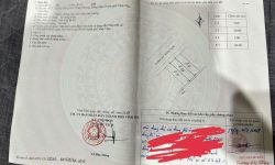 Bán đất đường Ngô Miễn- Đồng Tâm – Vĩnh Yên