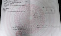 Bán đất dãy E Sau Núi, Hội Hợp, Vĩnh Yên, Vĩnh Phúc