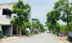 Bán đất Đồng Chéo Áo, Thanh Trù, Vĩnh Yên, Vĩnh Phúc