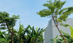 Bán đất Đồng Rộc, Hội Hợp, Vĩnh Yên, Vĩnh Phúc