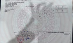 Cần bán gấp 85m2 đất kdt Nam vĩnh yên . Giá siêu hời