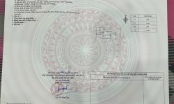 Bán đất phân lô cạnh bệnh viện đa khoa Tỉnh Vĩnh Phúc. Giá chỉ 5,7 tỷ Hướng Đông