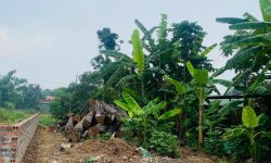 Bán đất full thổ cư kinh doanh đẹp thôn Cầu Đá, Hương Sơn, Bình Xuyên, Vĩnh Phúc