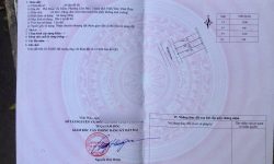 Bán đất mặt đường Đoàn Thị Điểm, p Vĩnh yên, Phú thọ ( p. Liên bảo , Vĩnh yên cũ)