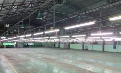 Cho thuê xưởng sản xuất hoặc kho bãi tại Thiện Kế, Bình Xuyên, Vĩnh Phúc
