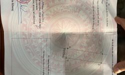 Bán đất dịch vụ Tân Ngọc, Bá Hiến, Bình Xuyên, Vĩnh Phúc