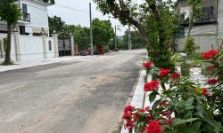 Bán đất cực đẹp tại trung tâm Hội Hợp, Vĩnh Yên, Vĩnh Phúc