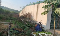 Bán đất Tam Lộng, Bình Xuyên, Vĩnh Phúc. DT 100m2 Giá 2.4 tỷ