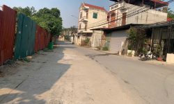 Bán đất kinh doanh nhỏ lẻ trục chính Tam Lộng, Bình Xuyên, Vĩnh Phúc